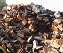 Logs for firewood